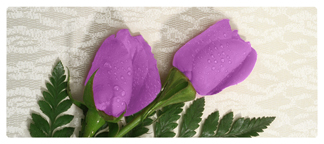 DNSEMP-L-052 2 Roses Lavender